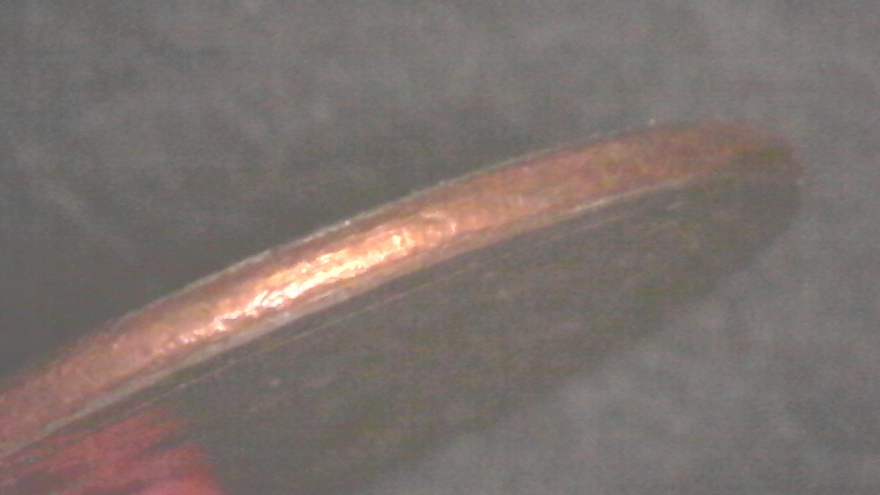1987-P-Washington-Quarter-Planchet-Error-Or-PMD?